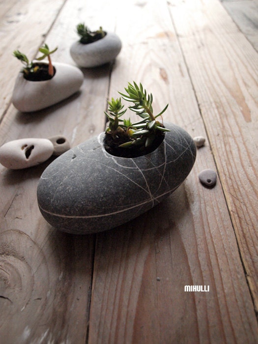 nature inspiration miniature suculent planter zen garden style hand engraved sea pebble
