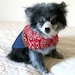 Little Dog's Cowgirl Dress with Bandanna Print Bodice, Fringe, Gingham Scarf and Indigo Denim Skirt
