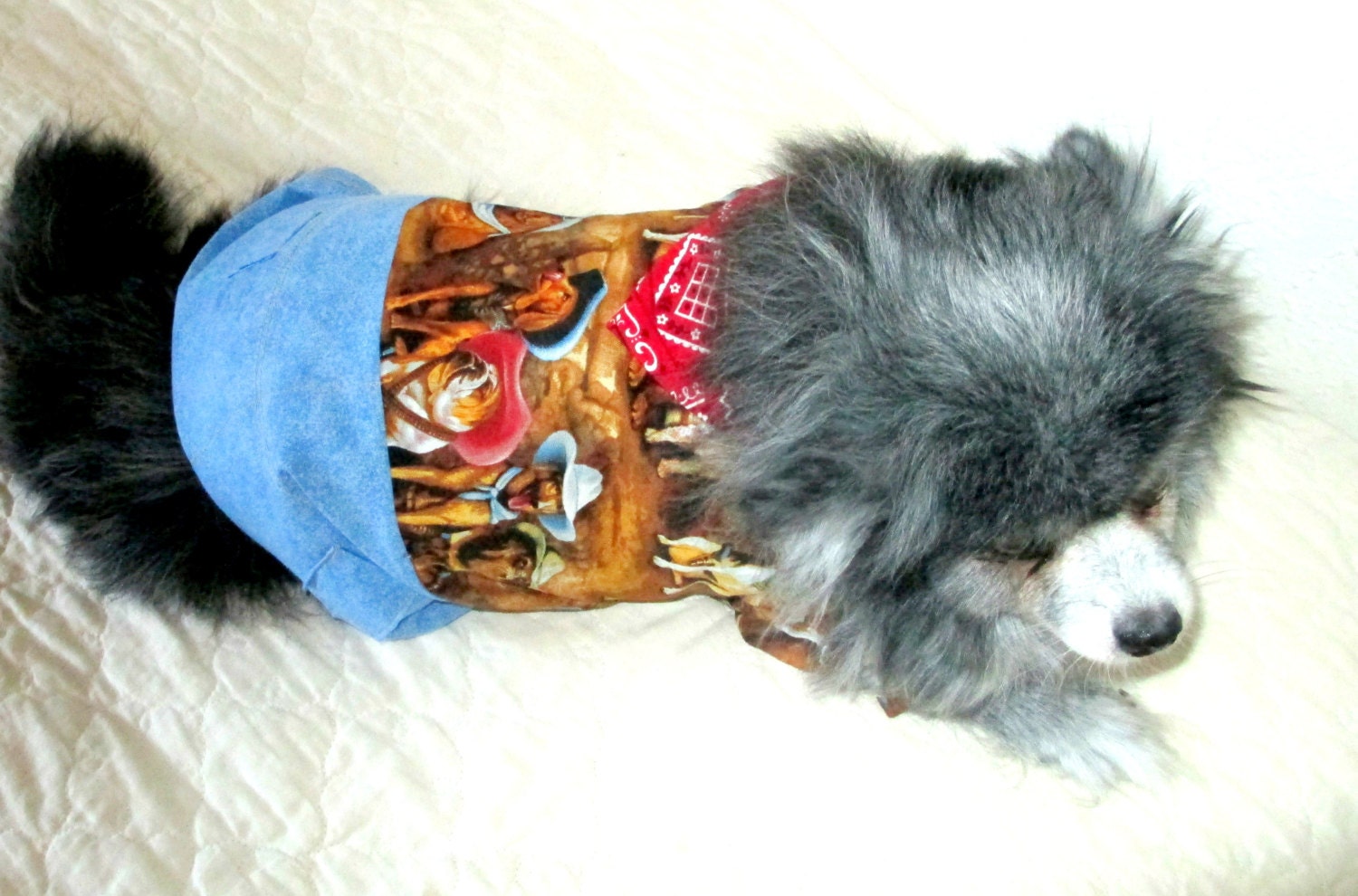 Small Dog's Cowboy Shirt & Stonewashed Jeans One-piece Cotton Shih Tzu