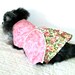 Little Dog's Dress Cotton for Toy Poodle Etc. - Rose Print Bodice and Panels w/Flower-Printed Underskirt - Made to Order