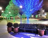 Park Bench at Night with Christmas lights.