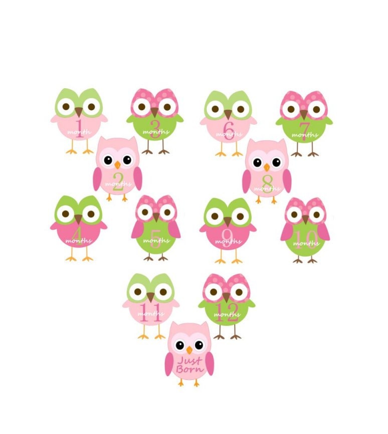 Baby Onesie Monthly Iron On Transfers - Pink OWLS - Plus JUST BORN  116