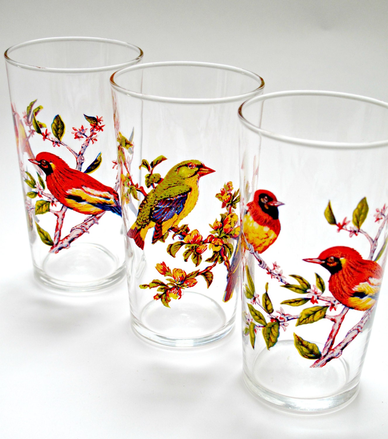 Amazing Vintage Bird Design Drinking Glasses