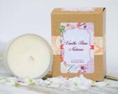 Vanilla Bean & Nectarine- Fruits and Floral Spring Collection
