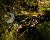 Waterfall, Stream, Brook, Digital Download Photography, Fine Art Photo, woods, forest, woodland, landscape