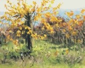 Original vineyard landscape painting - "Vineyard Gold"