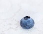 Alone and Blue - Single Blueberry Photo - blue white - Fine Art 8x8 Still Life Photo