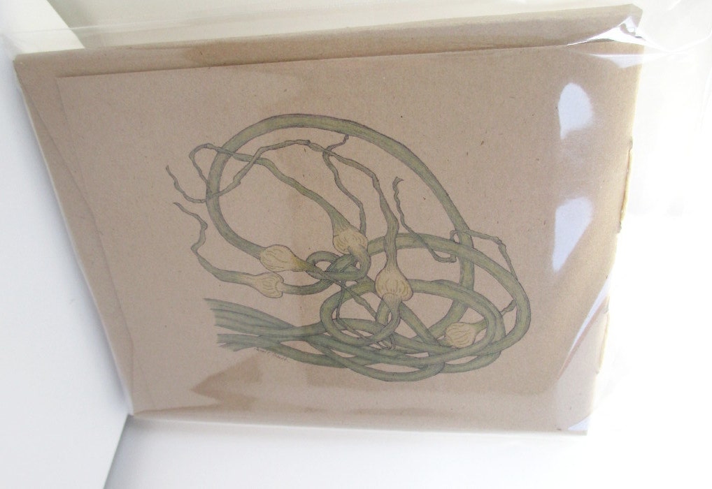 Garlic Scapes Jotter Journals - (set of 3 mini journals)