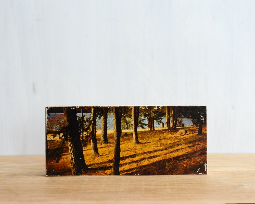 Lake View Trees Image Transfer on Wood - by Patrick Lajoie Fine Art Photography, picnic, parks