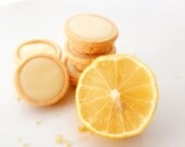White Chocolate Lemon Truffle Tarts - Mini Citrus Fudge Tartlet Candy - one dozen