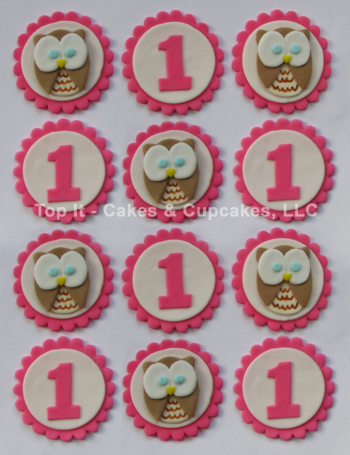 Fondant Cupcake Toppers - Owls First Birthday (Girl)