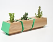Boxcar Planters - Solid Ash with Emerald Green - RevolutionDH Boxcar Planters - Solid Ash with Emerald Green - RevolutionDH