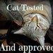 Cat Toys - Mario Cheep Cheep and Deep Cheep catnip toys