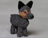 Australian Cattle Dog