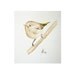 Original painting. Watercolor. Bird painting. Woodland.