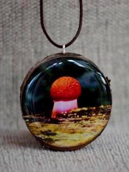 Red toadstool / mushroom photo pendant / necklace. Adjustable. Naturally displayed on a branch slice. Hinterland Mama,  Australia