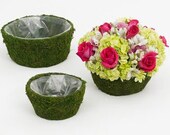 Moss Planter Basket - Set of 3 Great for Succulents Wedding Centerpieces