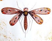 Insect Watercolor Original Painting Ink Contemporary Art Insect Painting Animal Art Home Decor Wall Art Insect Beige Brown Insect Watercolor