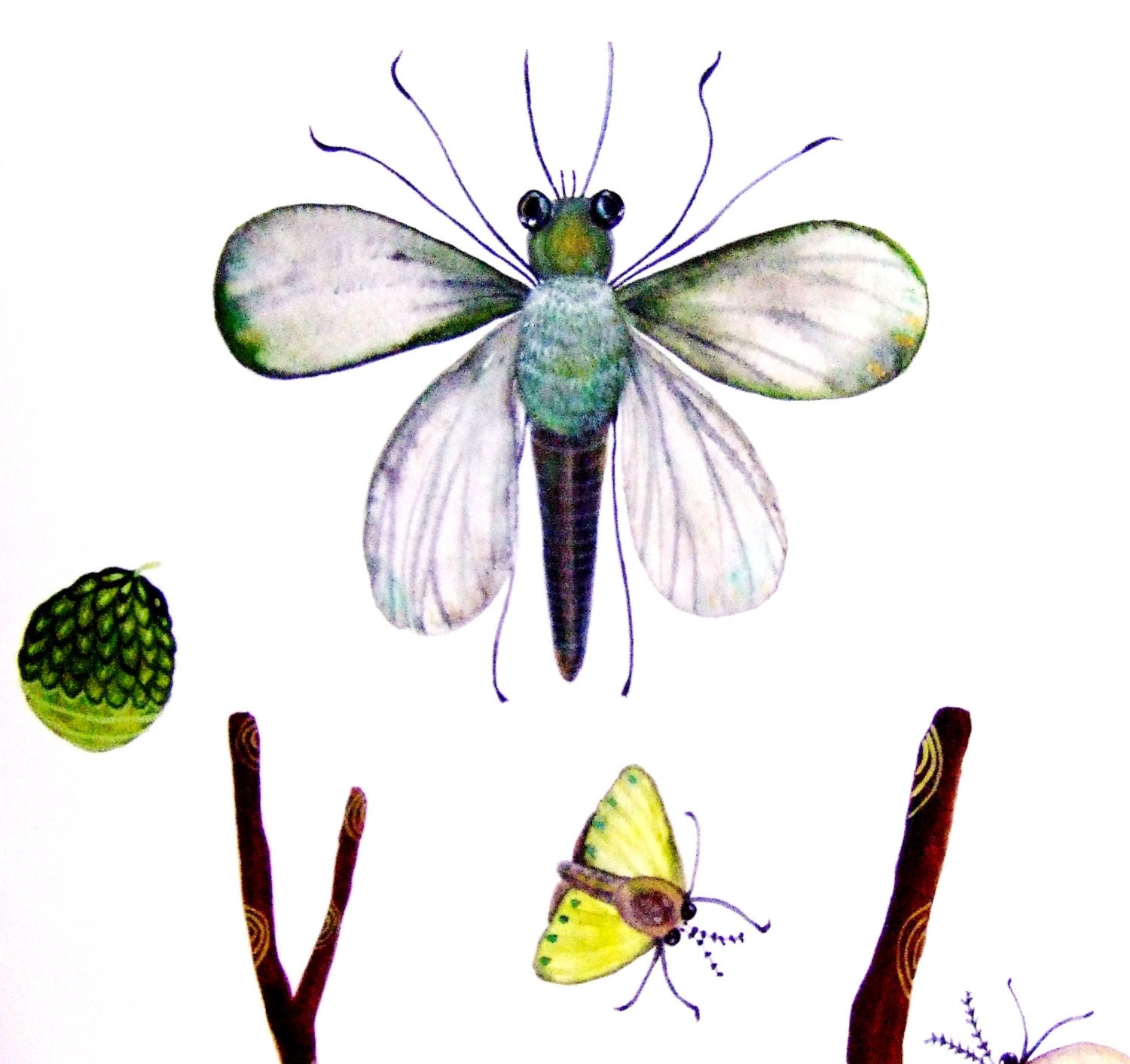 Insects Original Painting Watercolor Ink Gouache Butterflies Dragonfly Drawing Wood Nature Fruits Grey Green Brown Decor Insects Wall Art