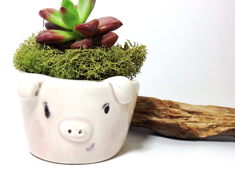 Piggy Planter Porcelain Cutest Container Perfect Gift MADE TO ORDER