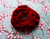 Red Rose