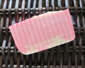 Cranberry Orange Spice Russian Cambrian Blue Clay Soap
