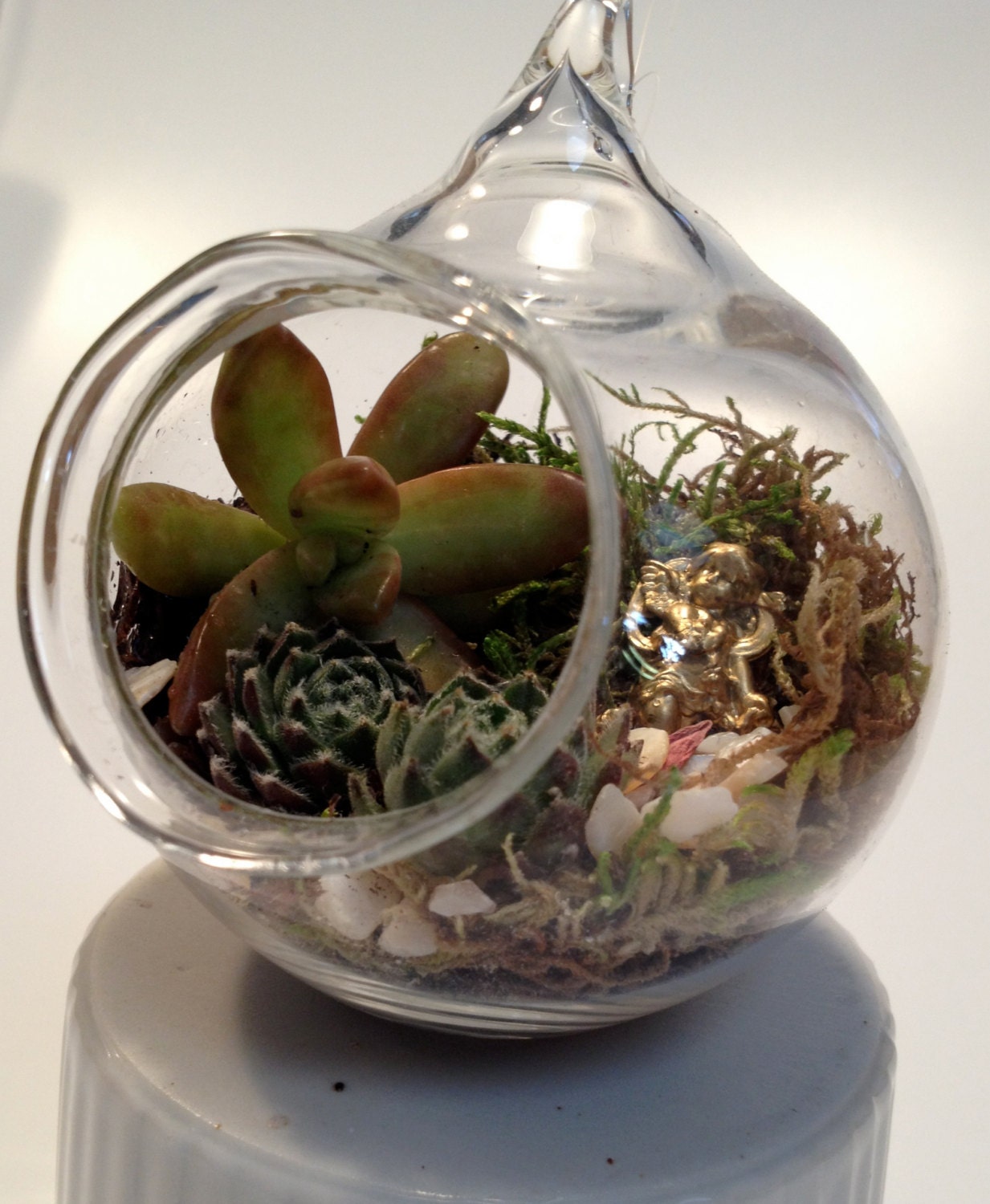 Miniature Hand Blown Glass Succulent Hanging Terarium