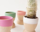 Mini Planters set of 4, Spring, Natural Wedding, Mother's Day