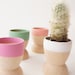 Mini Planters set of 4, Spring, Natural Wedding, Mother's Day