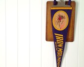 cabin chic....vintage felt pennant IRON MOUNTAIN MICHIGAN souvenir travel medium-large