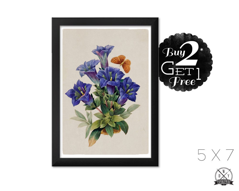 Blue Flowers, 5X7 Vintage Flower Print, Art Print and Home Decor, Buy 2 Get 1 Free