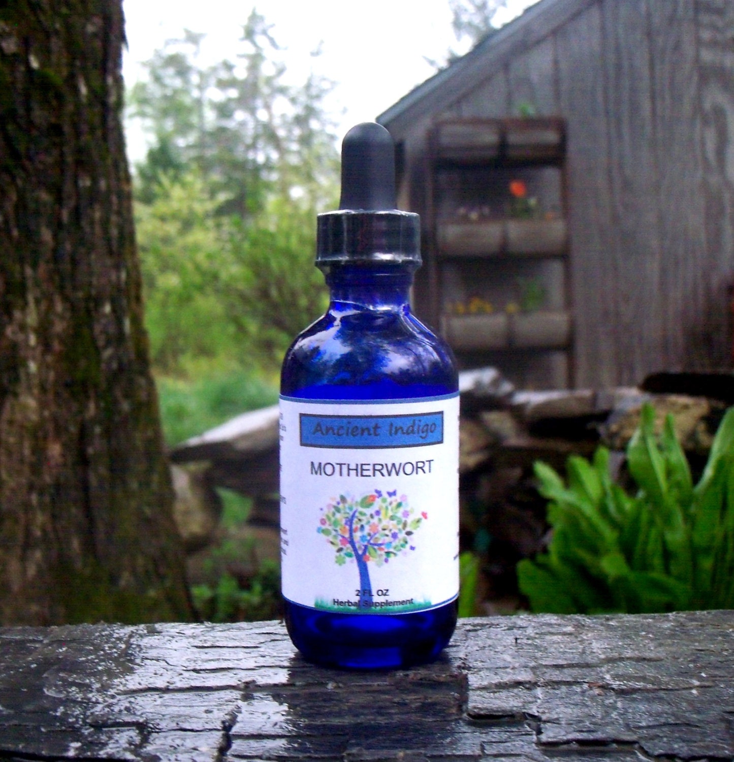 Organic Motherwort Herbal Tincture Herbal Extract 2 OZ