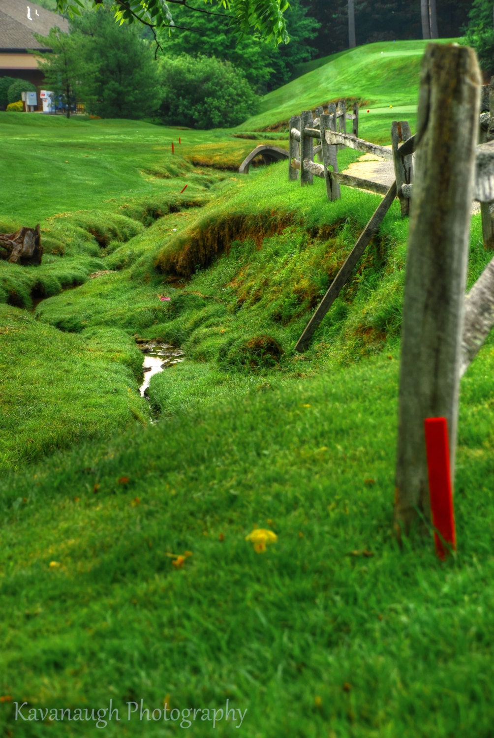 Golf Course Photograph