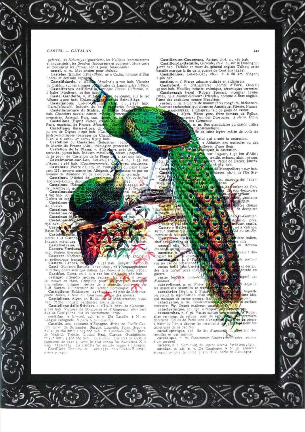 PEACOCK ART Print green On An Vintage Dictionary Page ANTIQUE Book Print  Peacock Print Antique(463)