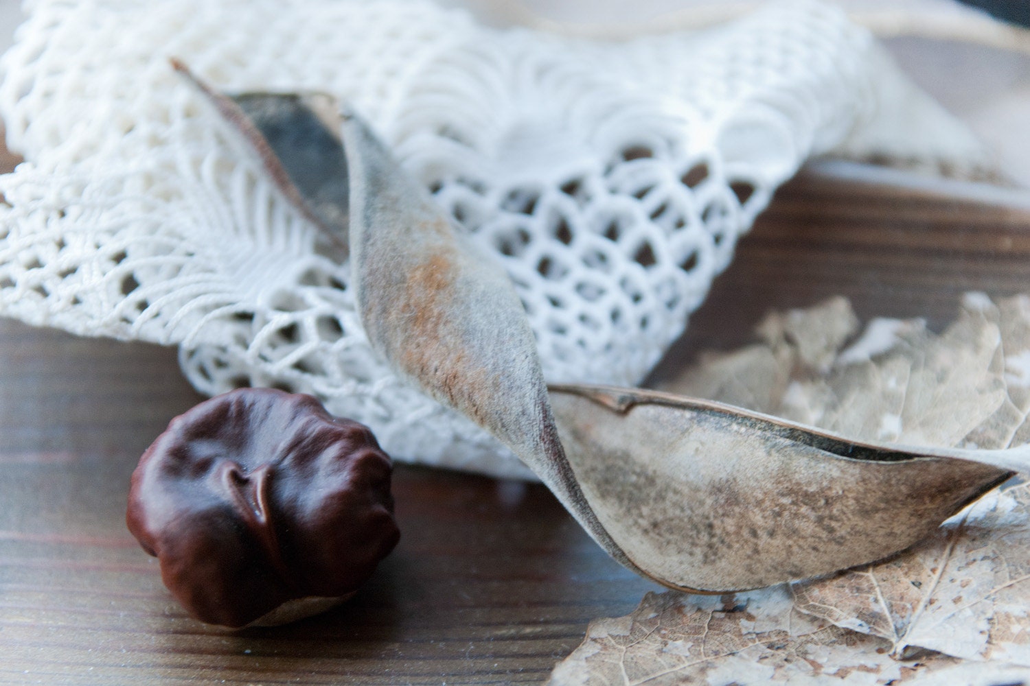 Lace and Chestnut - Fine Art Photography- Archival paper 8x12