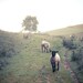 Greeting- Fine Art Photography- Archival paper 8x12