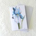 Blue Iris Greeting Card. From Original Watercolour Drawing.