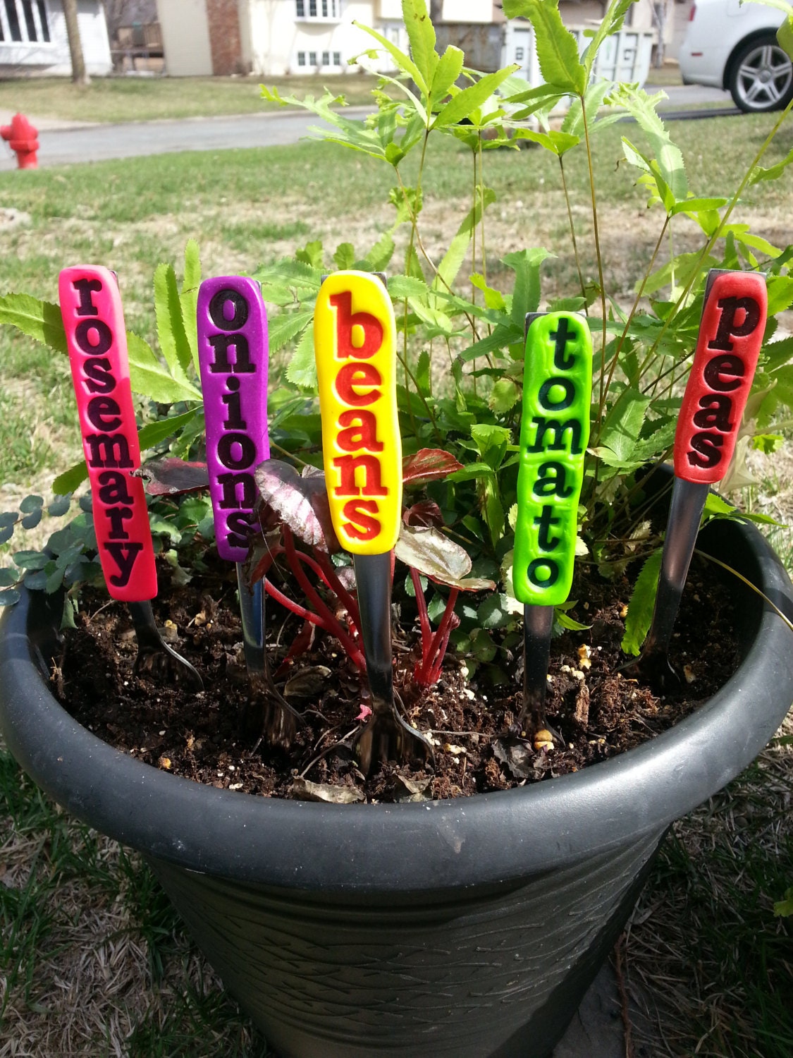 Pick 8-Vegetable and Herb Garden Stakes/Plant Markers