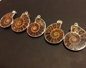 Ammonite fossil crystal pendant necklace