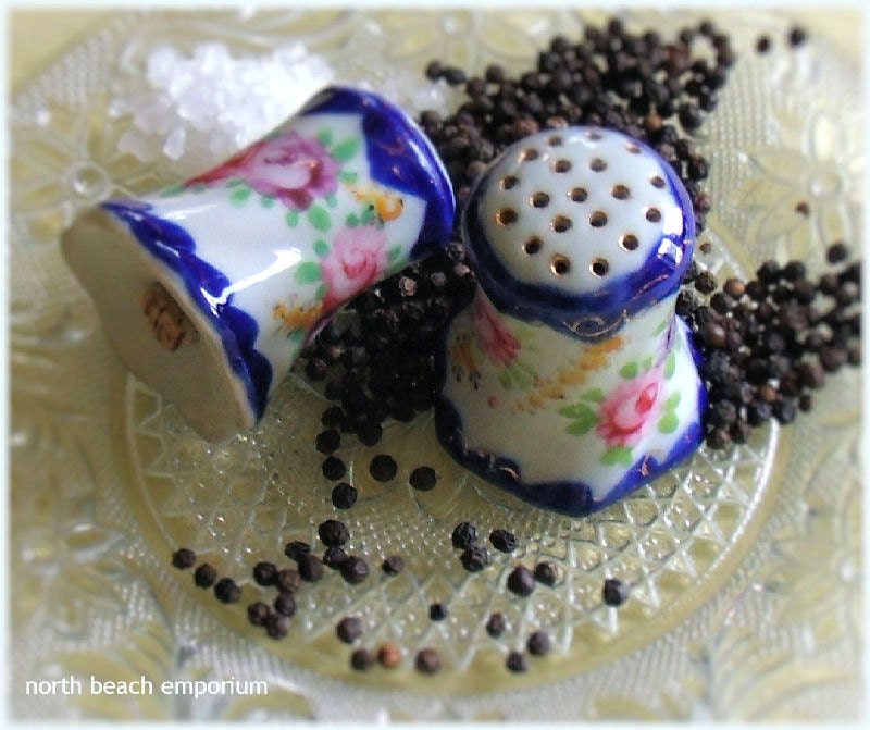 Vintage Porcelain Salt and Pepper Shakers Hand Painted Flowers with Cobalt Trim