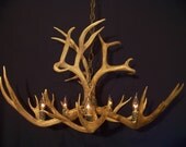 Legend Antler Designs Mule Deer  Antler Chandelier Light Lamp Fixture