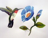 Hummingbird Print of Original Watercolor Painting Modern Home Wall Decor Signed