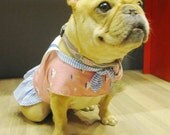 French bulldog summer dress with sailor collar Frenchie sailor dress  / nautical  sailboat pink and blue stripe  (size:FB)