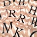 Burlap garden flag with cream color chevron pattern and a black initial monogram.