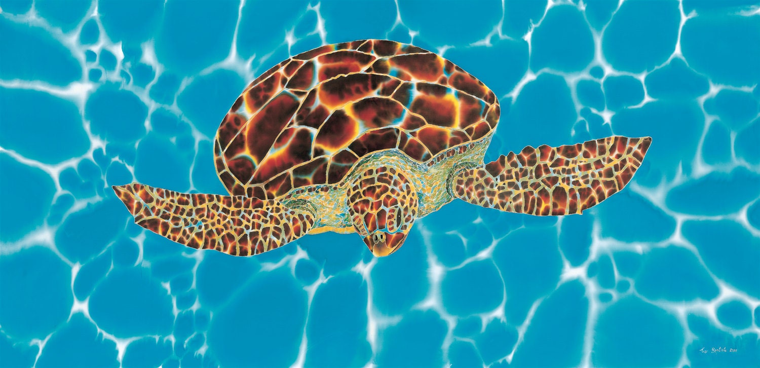 Sea turtle in the Caribbean Sea.