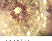 SALE 2013 calendar - 5x7 desk calendar romantic, nature,   gifts under 25, Christmas, stocking stuffer - loose pages photography calendar