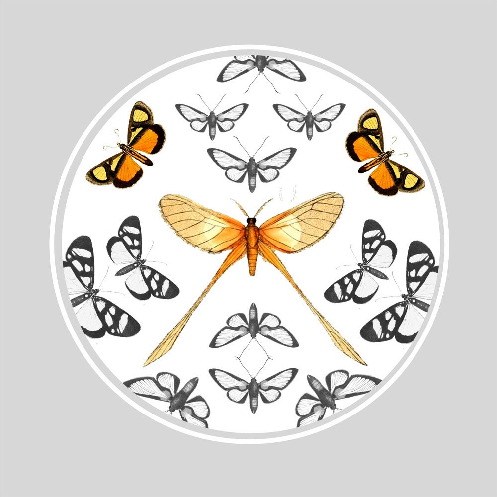 Vintage Butterflies Art Print 15" by 10.5",  Home Decor, Nursery Decor, Spring