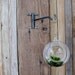 ONE Handblown Glass Terrarium on Steel Swing Rack mobile hanger hook indoor Terrarium garden votive holder