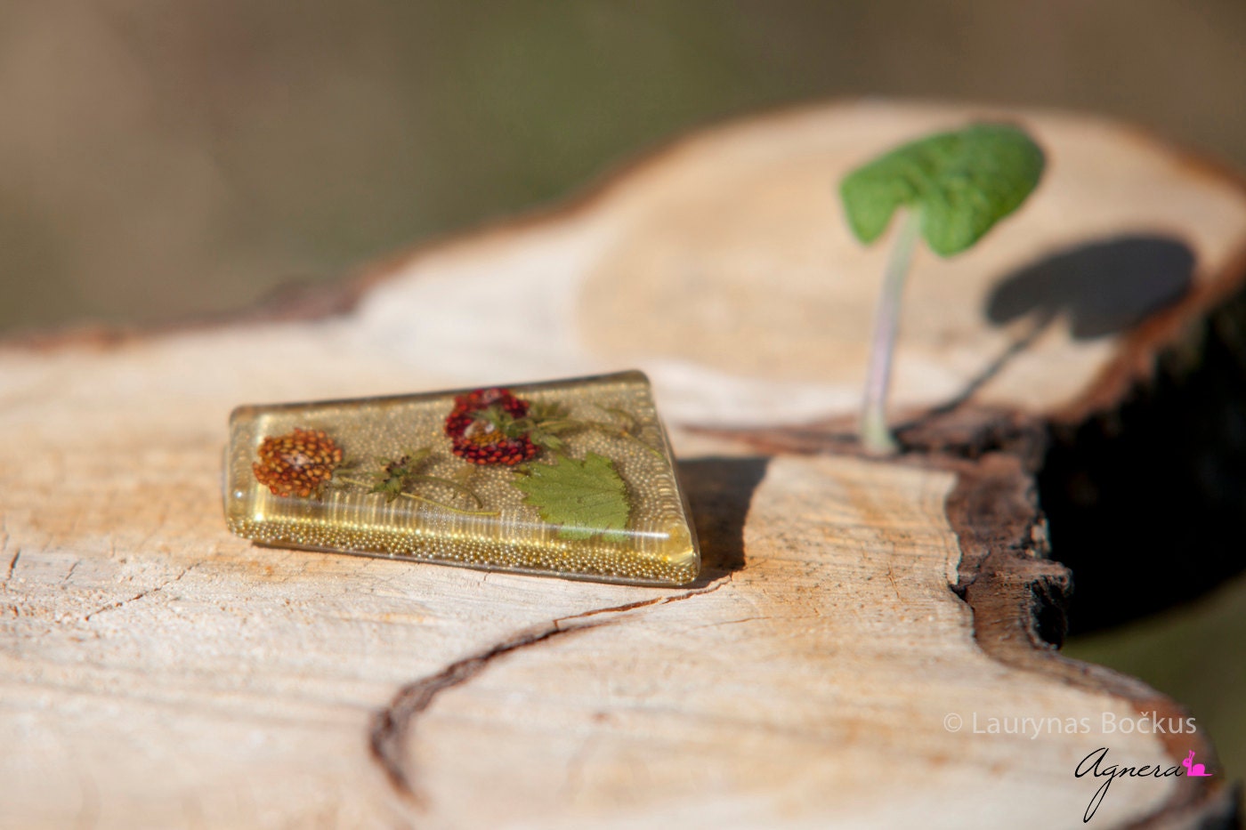 OOAK Resin brooch real natural Strawberry Handmade Eco