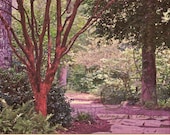 Mixed Media Original Hand-made Woodland Forest Park Scene with Whimsical Subtle Bicycle "Along for the Ride"